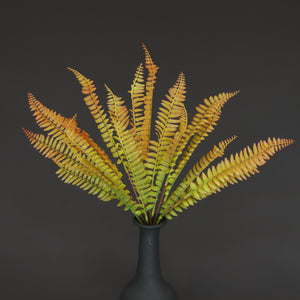 HCFL6646 - Autumn Boston Fern