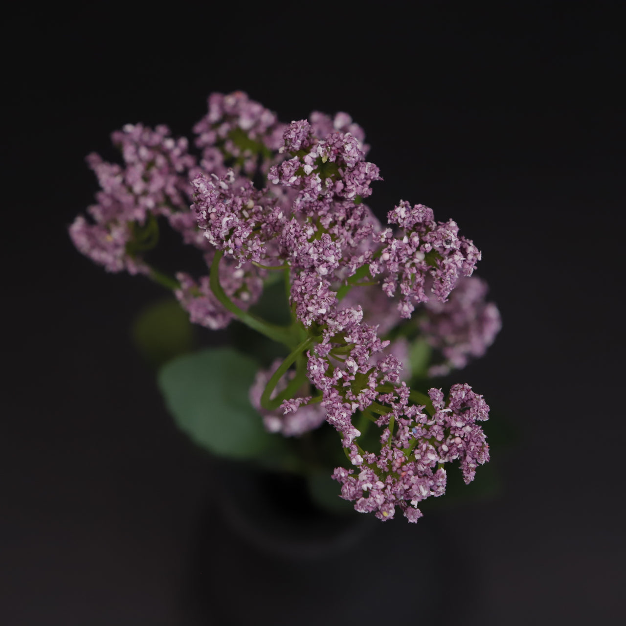 HCFL6658 - Mauve Aniseed Bouquet