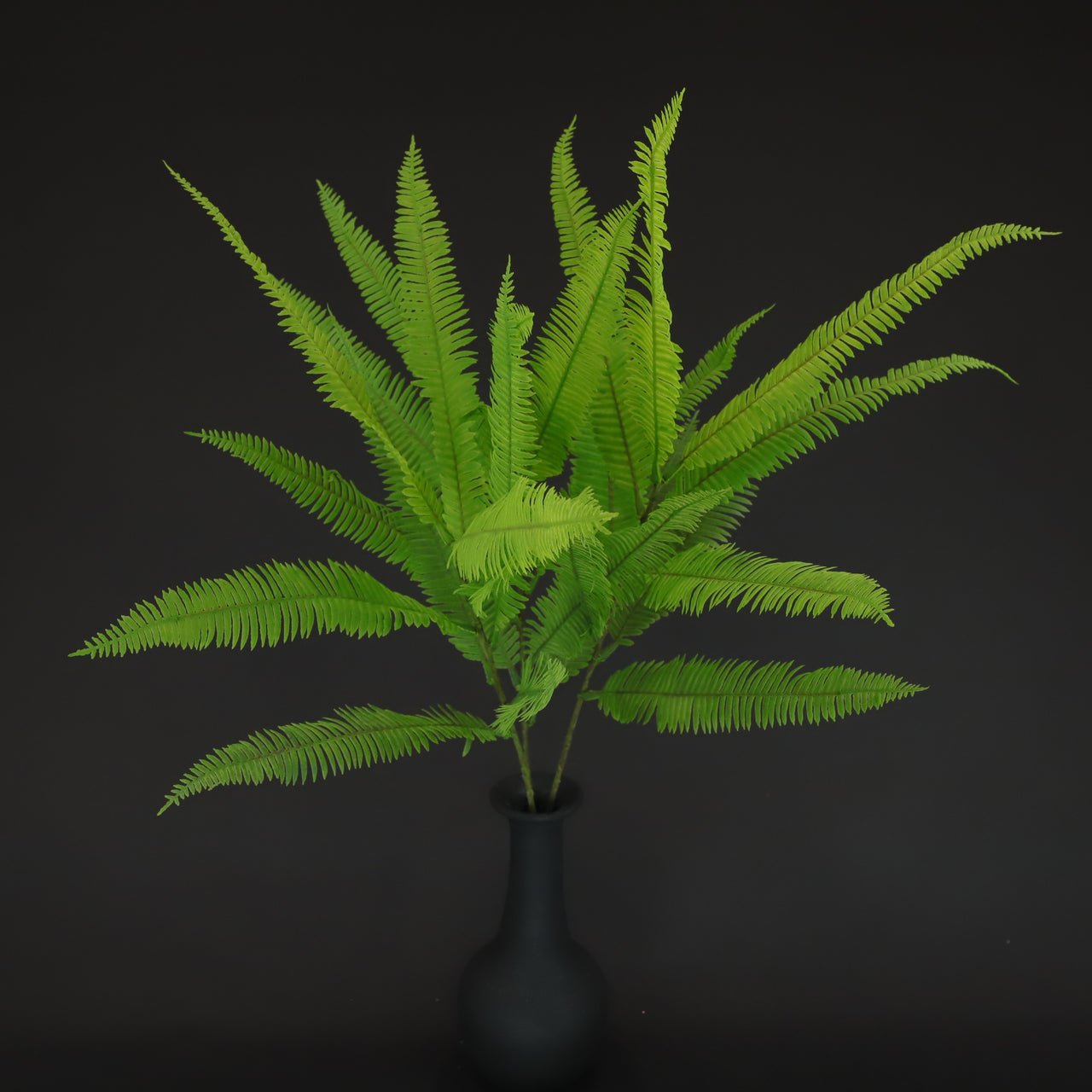 HCFL6680 - Tree Branch Fern