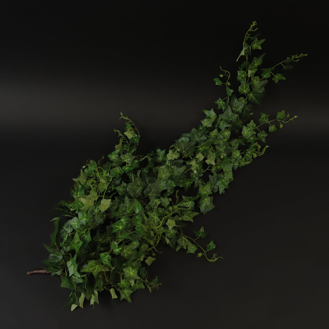 HCFL7253 - Trailing Green Ivy