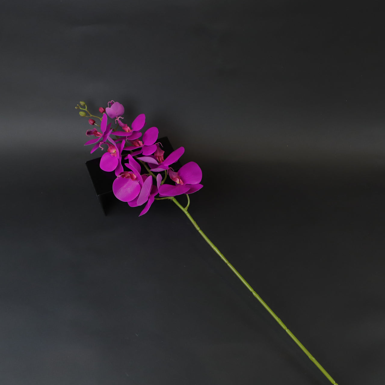 HCFL7264 - Large Purple Orchid