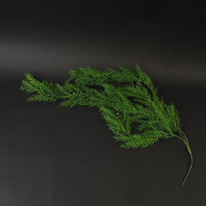 HCFL7268 - Dark Green Trailing Willow
