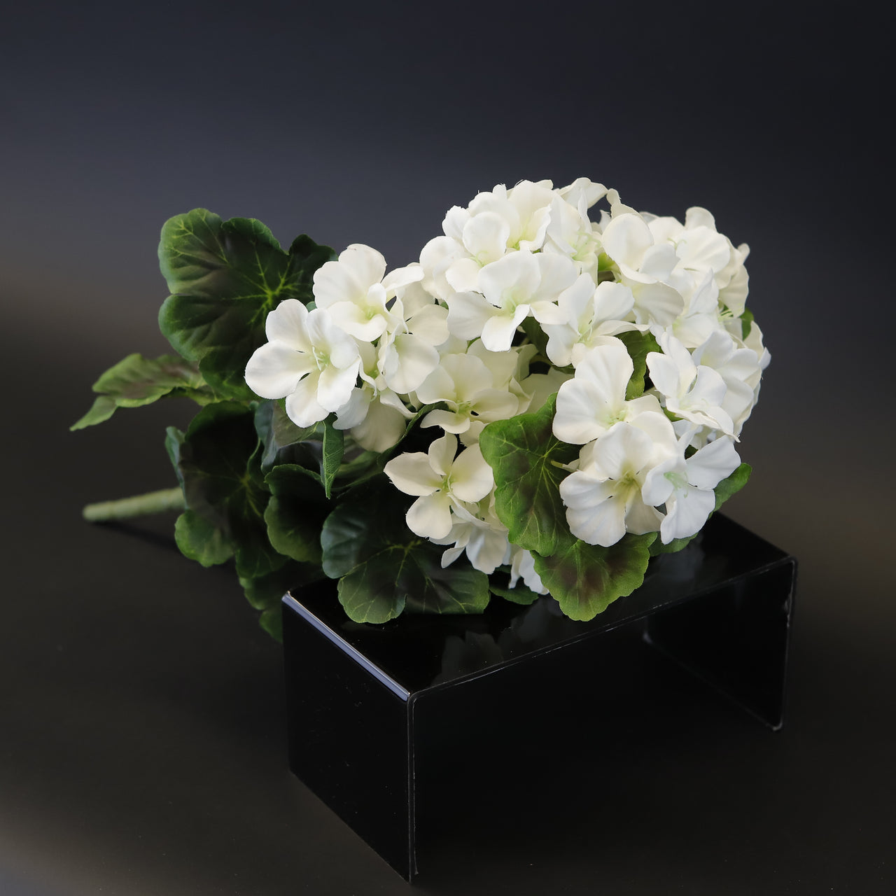 HCFL7846 - White Geranium Bouquet