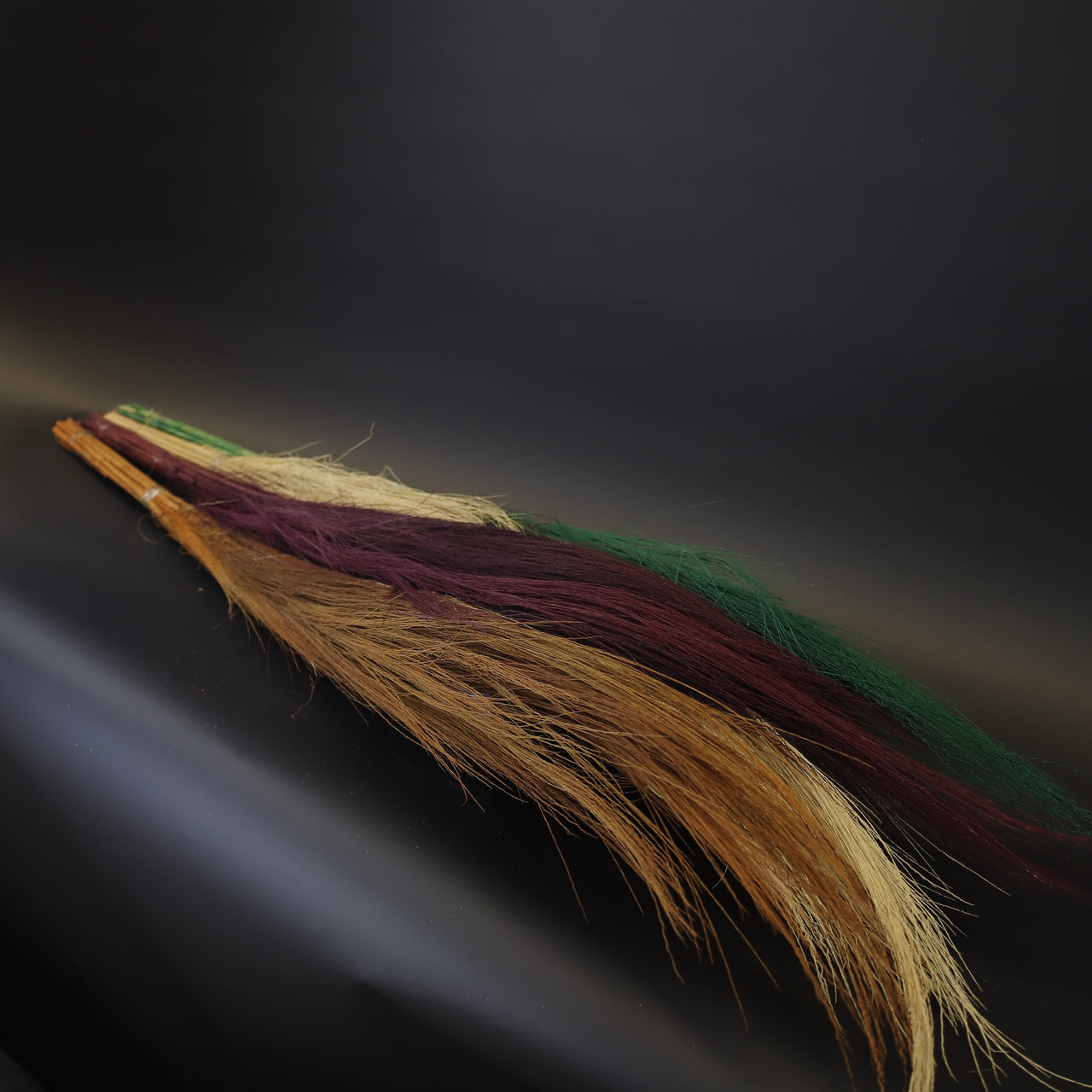 HCFL7962 - Coloured Wheat Grass