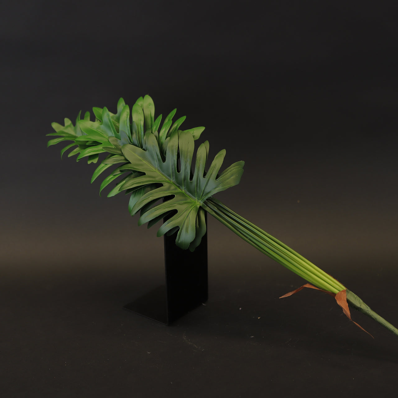 HCFL7966 - Green Philodendron