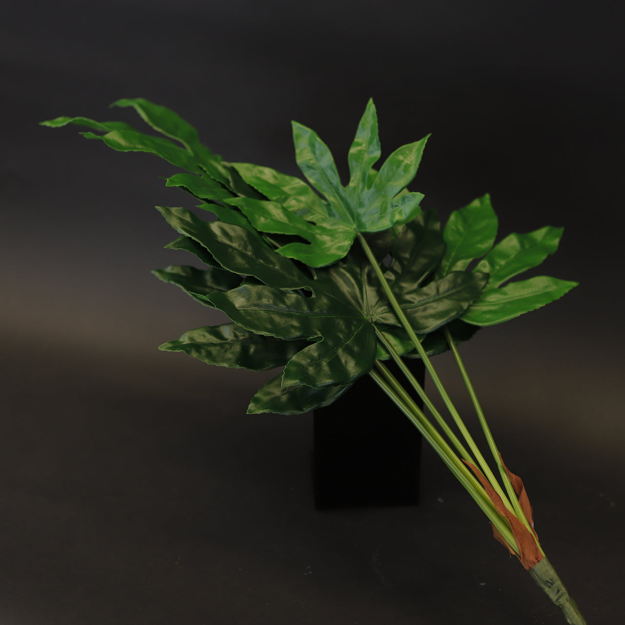 HCFL7968 - Split Leaf Monstera