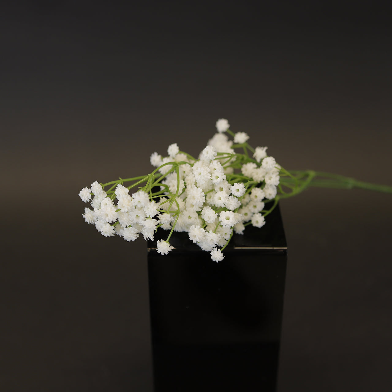 HCFL7969 - LS Single Baby's Breath