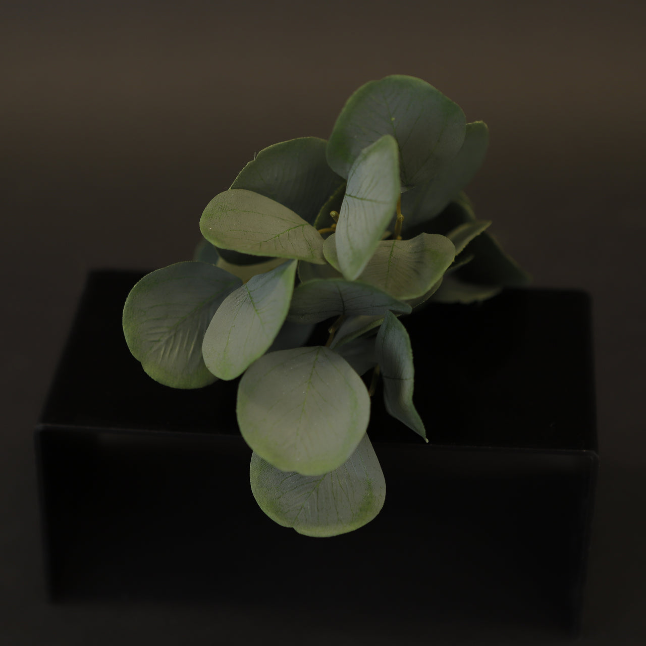 HCFL7973 - Ligustrum Bouquet