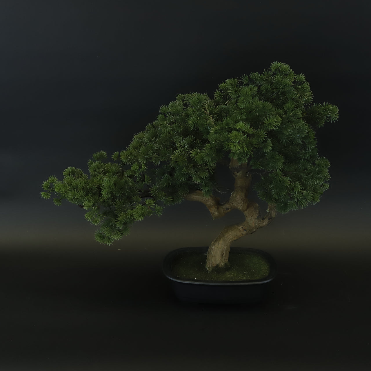 HCFL8376 - Mini Bonsai Tree