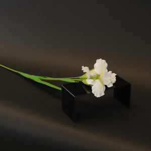 HCFL8411 - LS White Iris