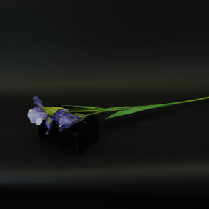 HCFL8412 - LS Purple Iris
