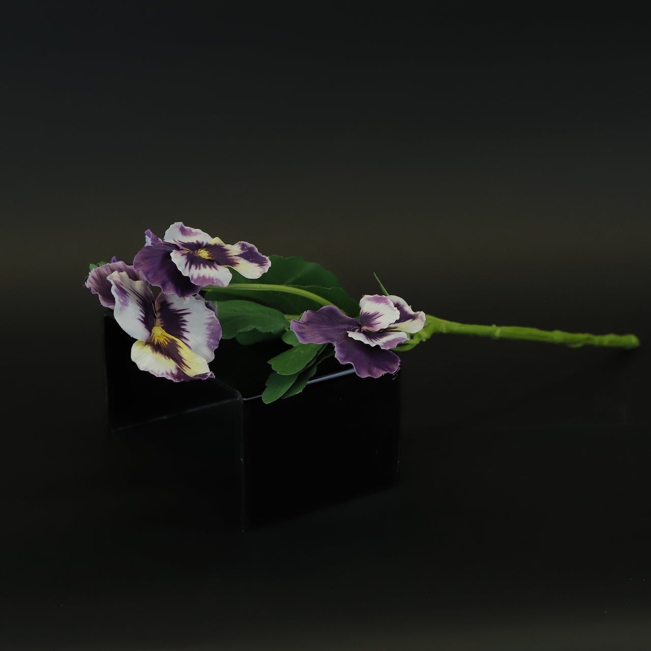 HCFL8414 - LS Purple Pansy