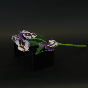HCFL8414 - LS Purple Pansy