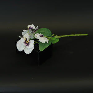 HCFL8415 - LS White Pansy
