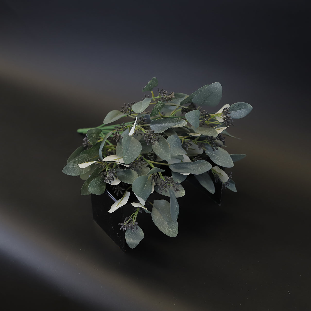 HCFL8416 - Grey Seed Eucalyptus Bq
