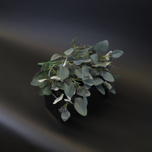 HCFL8416 - Grey Seed Eucalyptus Bq