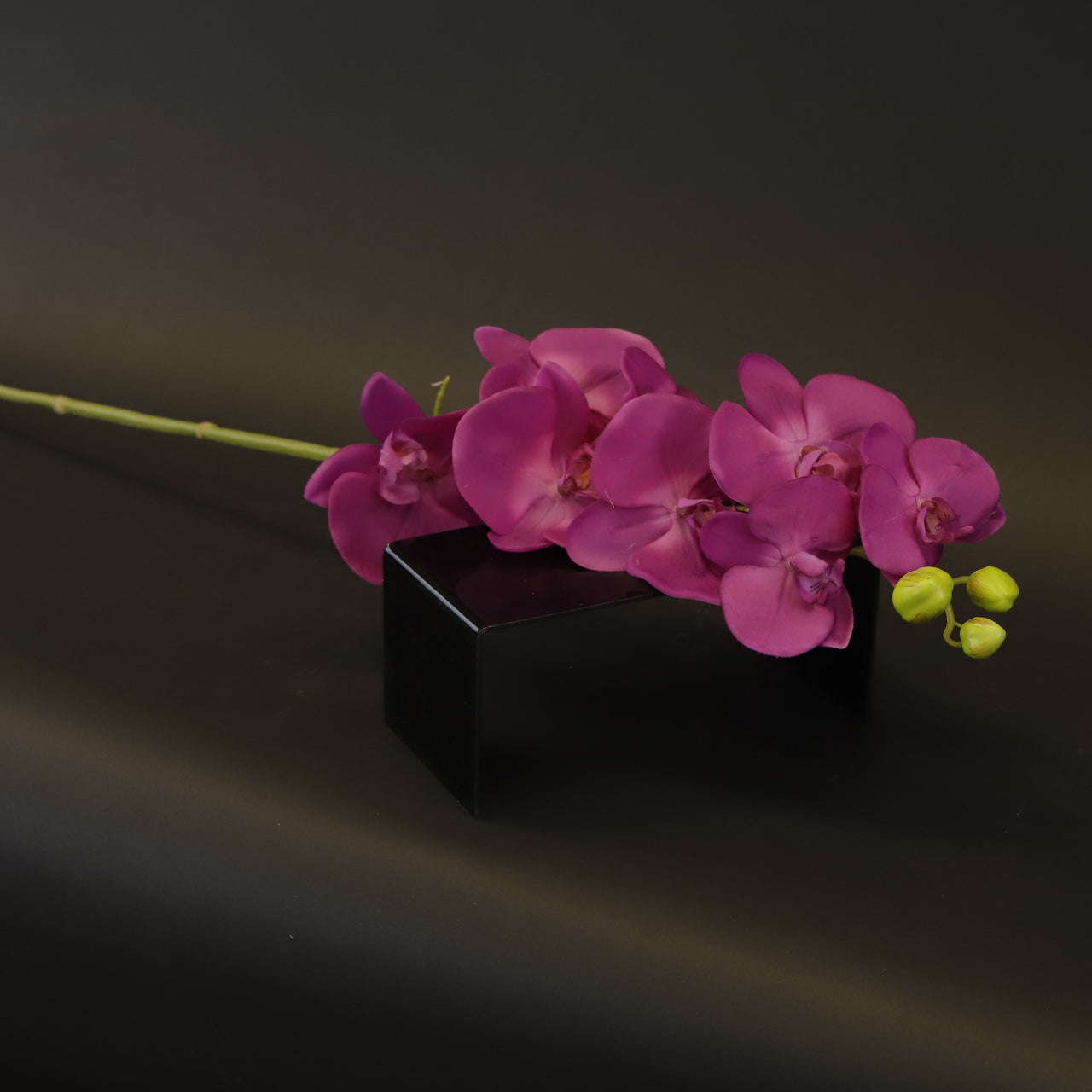 HCFL8418 - Magenta LS Orchid