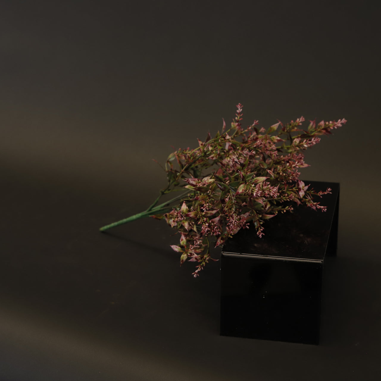 HCFL8420 - Purple Sage Bq