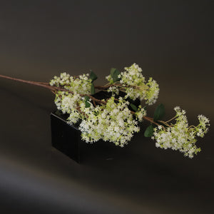 HCFL8425 - LS White Wildflower