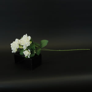 HCFL8429 - LS White Camellia