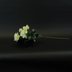 HCFL8430 - LS Green Camellia
