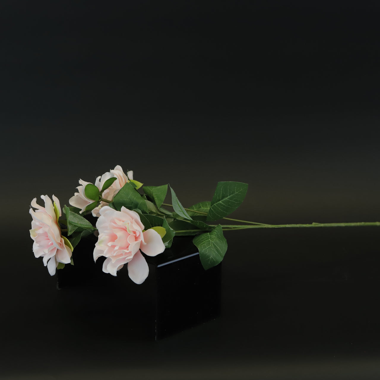 HCFL8431 - LS Pink Camellia