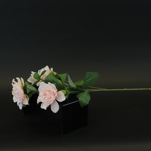 HCFL8431 - LS Pink Camellia