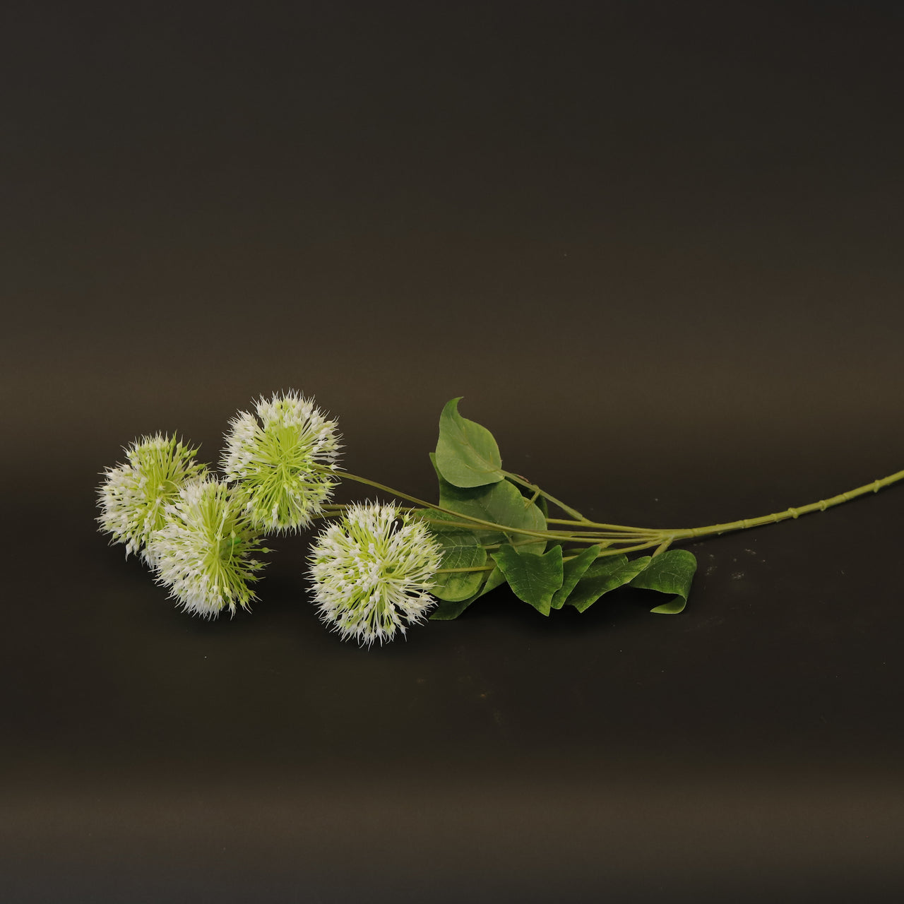HCFL8438 - LS Tiny Green Dianthus