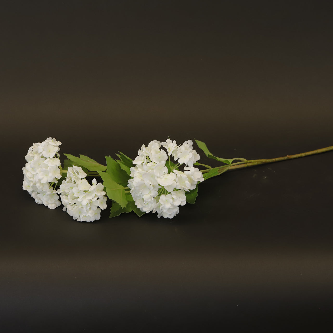 HCFL8441 - LS White Pear Blossoms