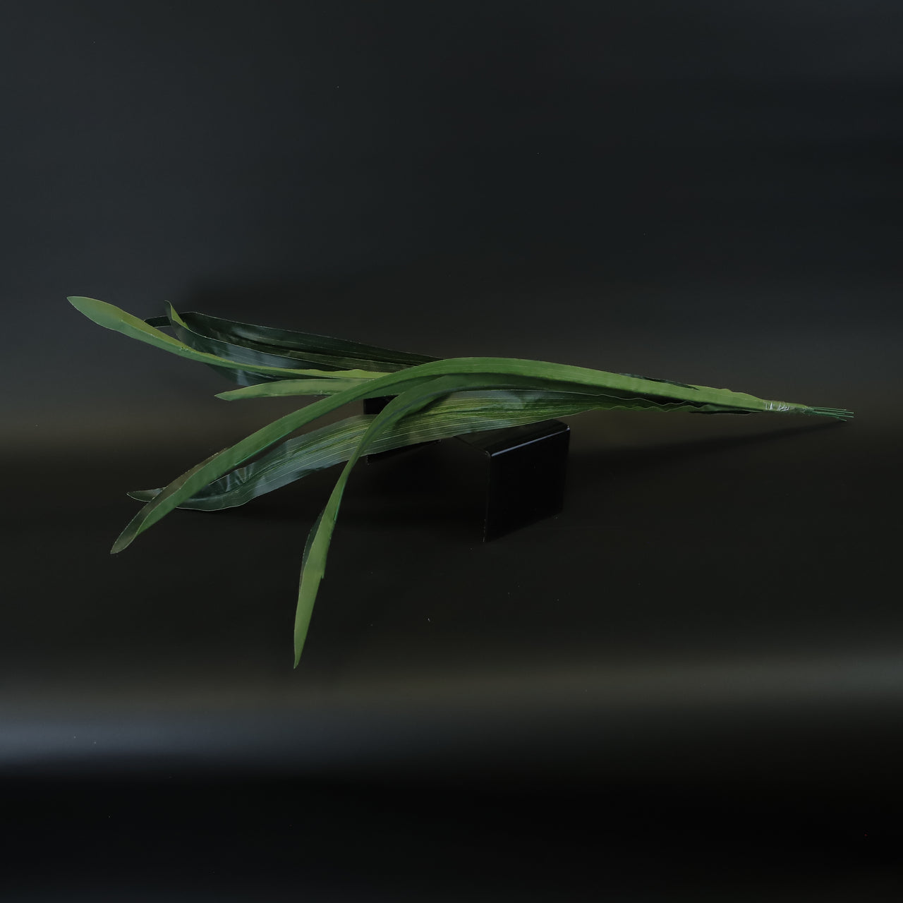 HCFL8515 - LS Gladiola Leaves