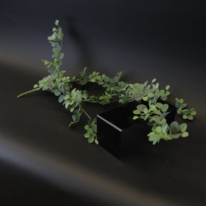 HCFL8640 - Trailing Peperomia