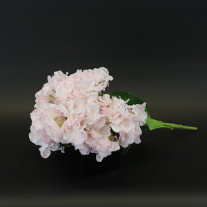 HCFL8646 - Soft Pink Hydrangea Bq