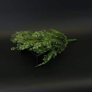HCFL8648 - Maidenhair Fern Bq