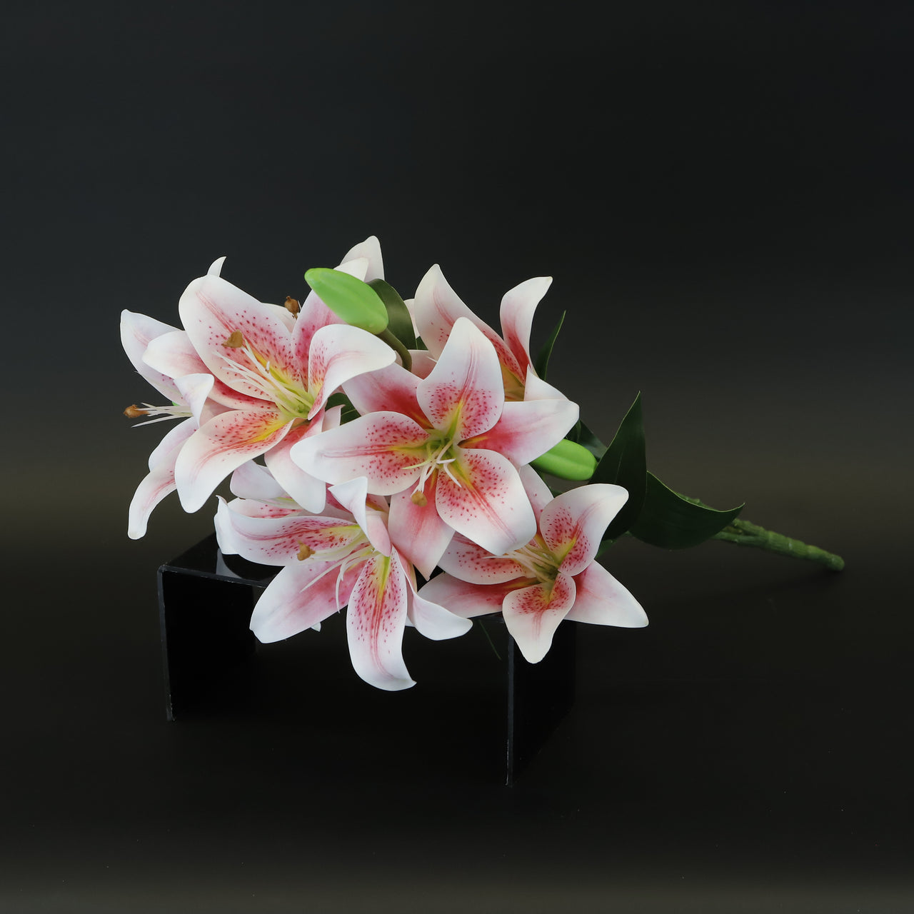 HCFL8655 - Salmon Lily Bq