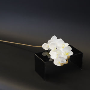 HCFL8659 - LS Tiny White Orchid