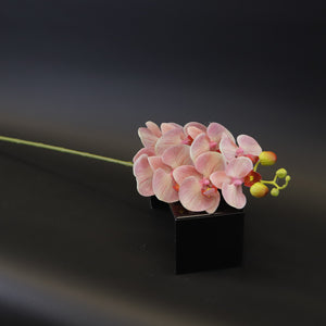 HCFL8662 - M Dusty Pink Long Stem Orchid