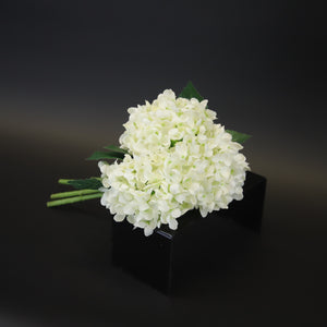 HCFL8664 - White Mophead Hydrangea Bq