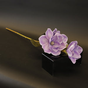 HCFL9148 - Periwinkle Mirabilis Bq