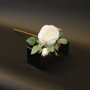 HCFL9155 - Single LS White Rose