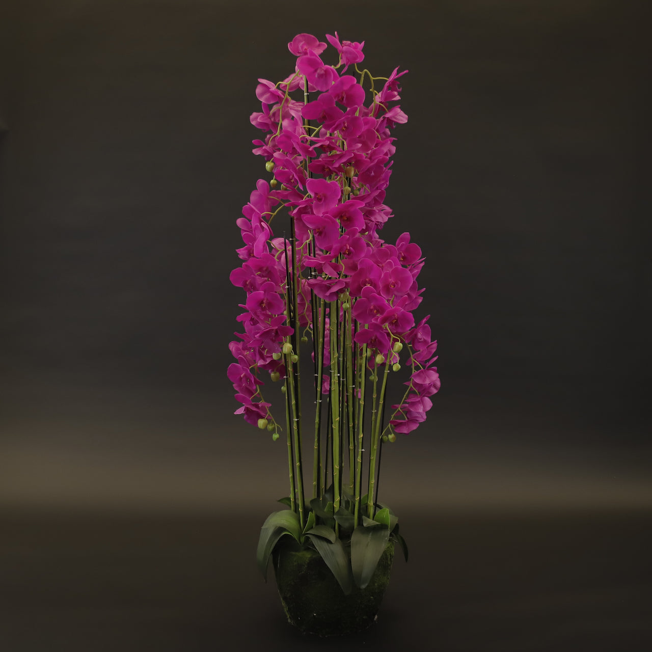 HCFL9160 - Fuschia Tall Orchid Tree