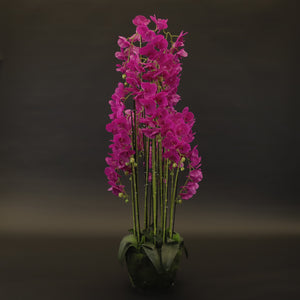 HCFL9160 - Fuschia Tall Orchid Tree