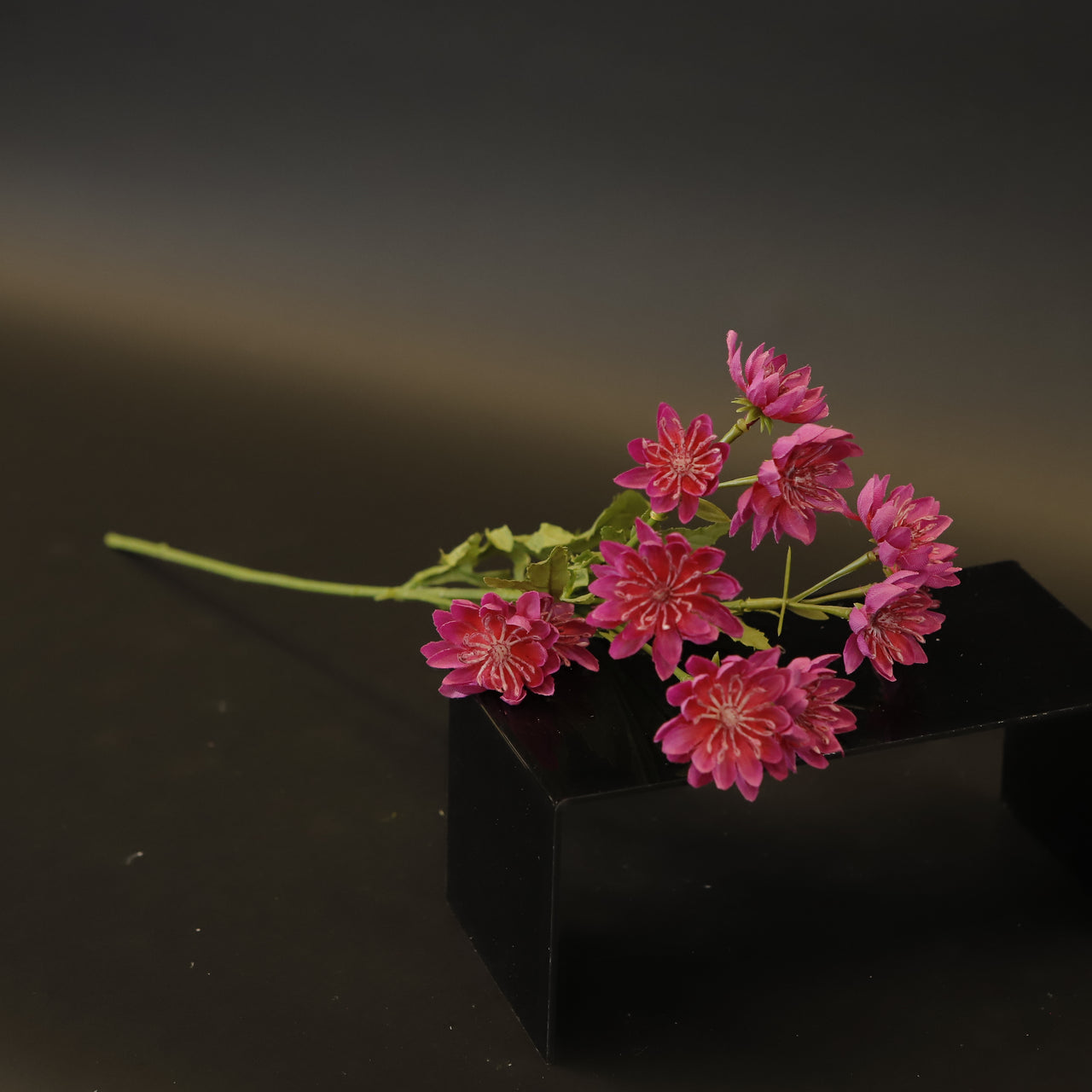 HCFL9319 - Tiny LS Fuschia Daisy