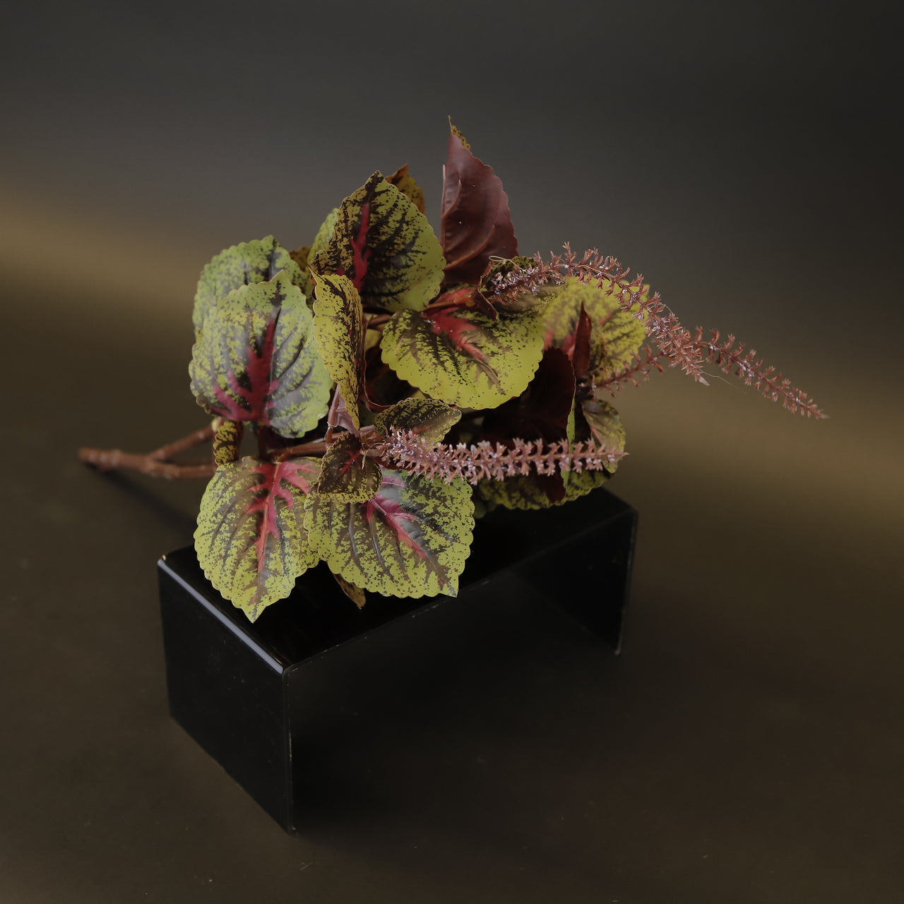HCFL9325 - Purple Bugleweed Bq