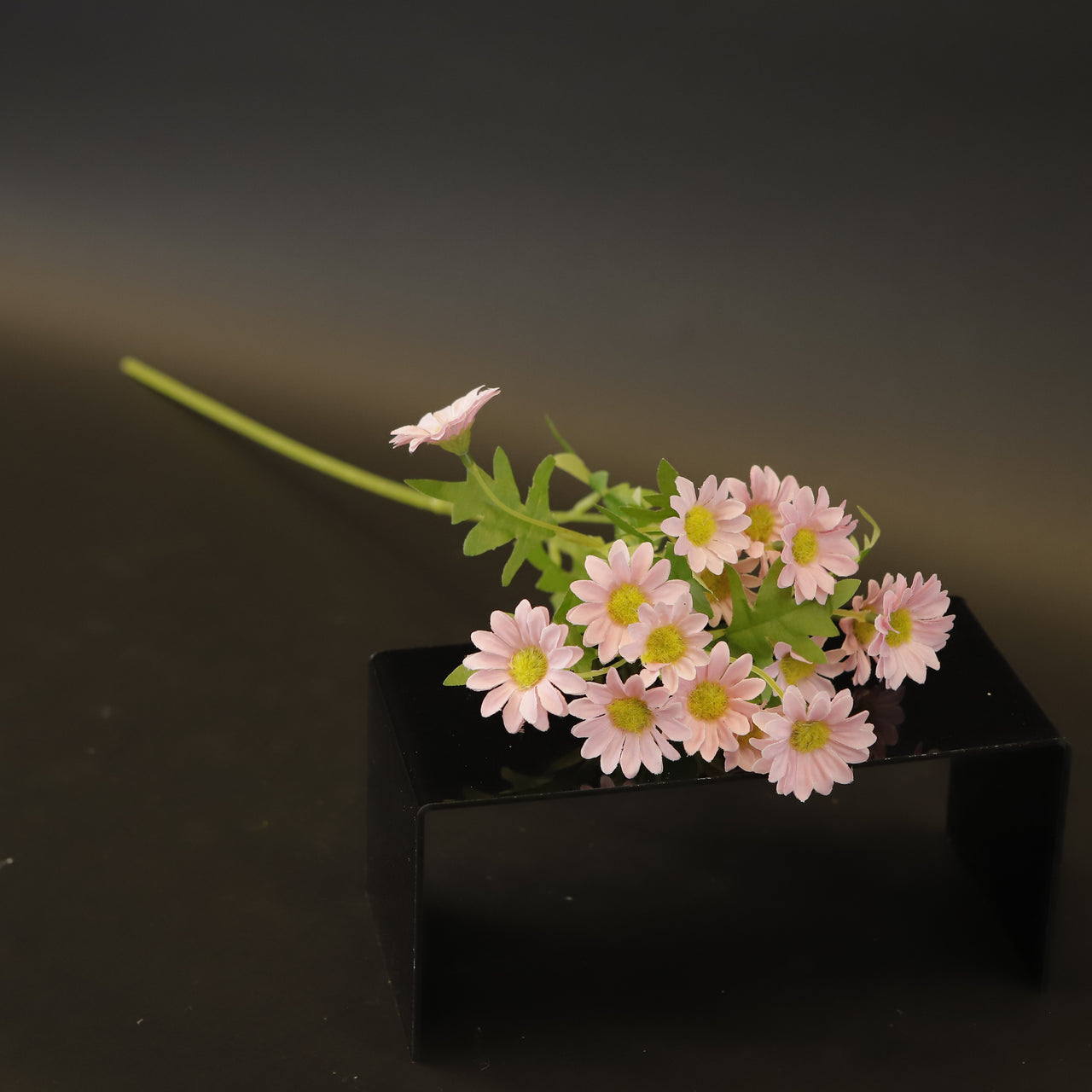 HCFL9326 - LS Pink Daisy