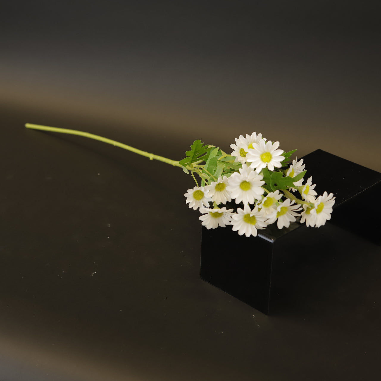 HCFL9327 - LS White Daisy