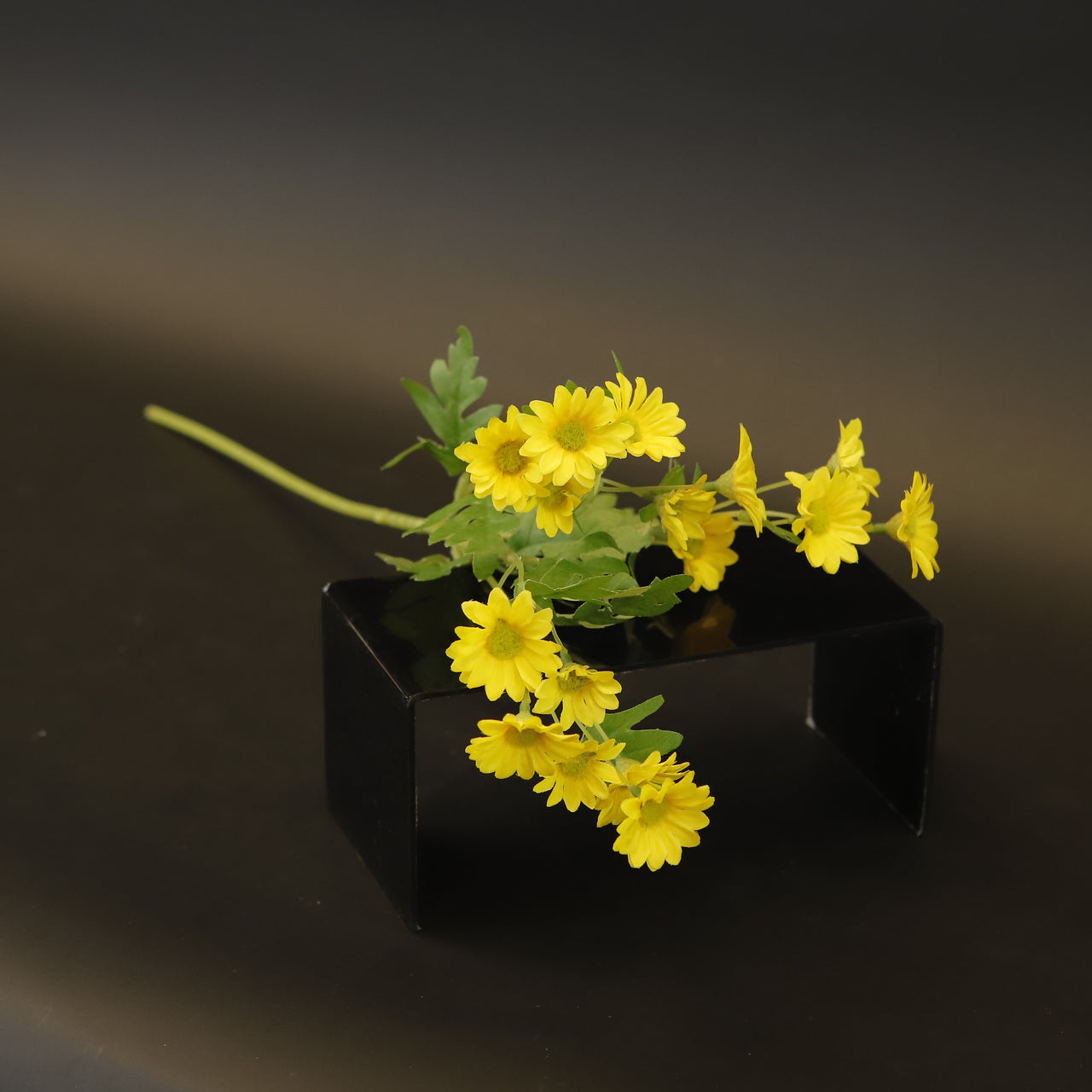 HCFL9328 - LS Yellow Marigold