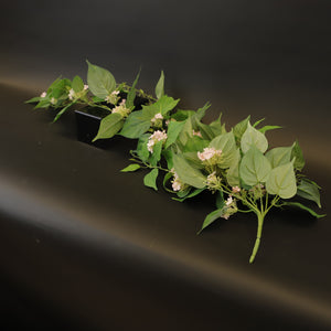 HCFL9337 - Trailing Pink Devil's Ivy