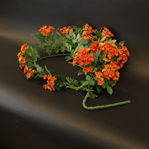 HCFL9341 - Orange Climbing Mock Rose Vine