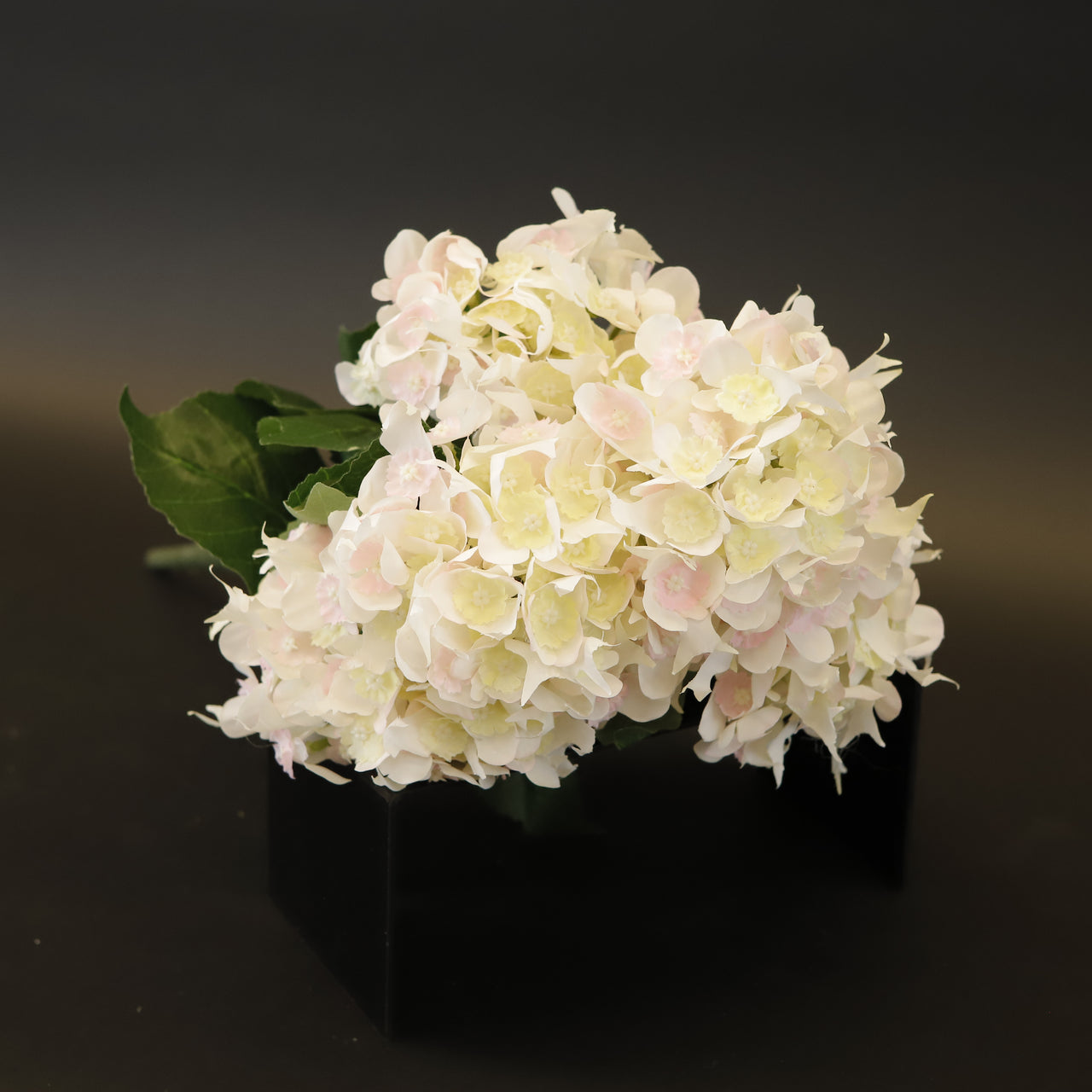 HCFL9347 - Fancy Mixed Pink Hydrangea Bq