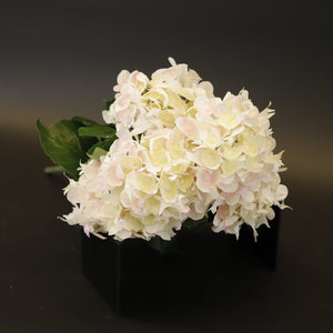 HCFL9347 - Fancy Mixed Pink Hydrangea Bq
